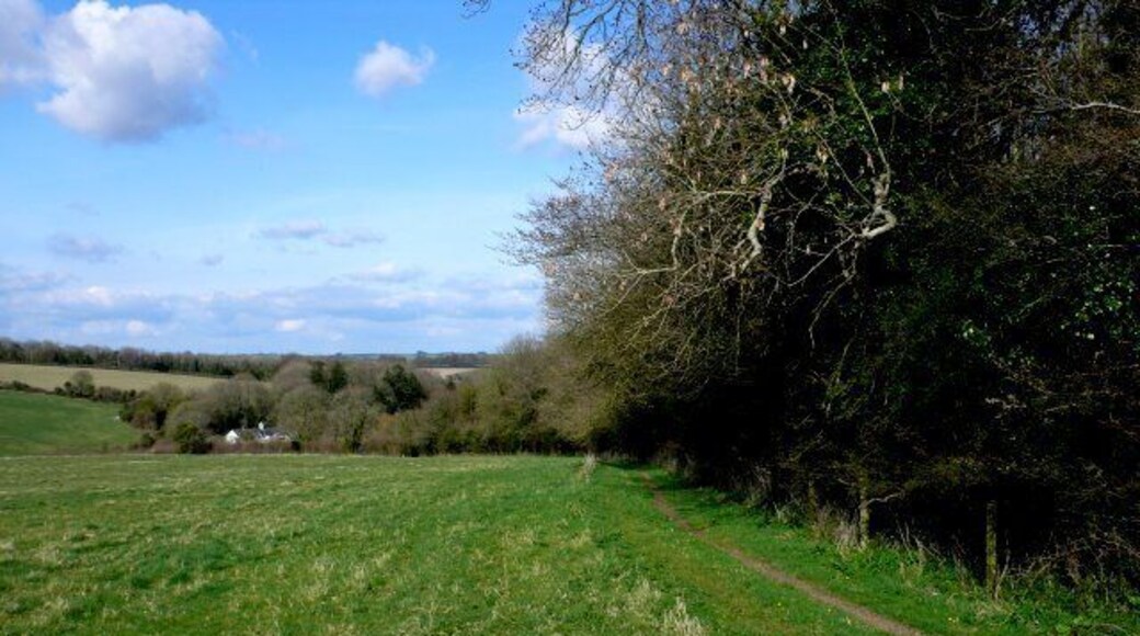 Barrow Plantation This is the view north east down the bridle path that runs along the north west side of barrow Plantation. in the trees in the distance can be seen Steppes Farm.
