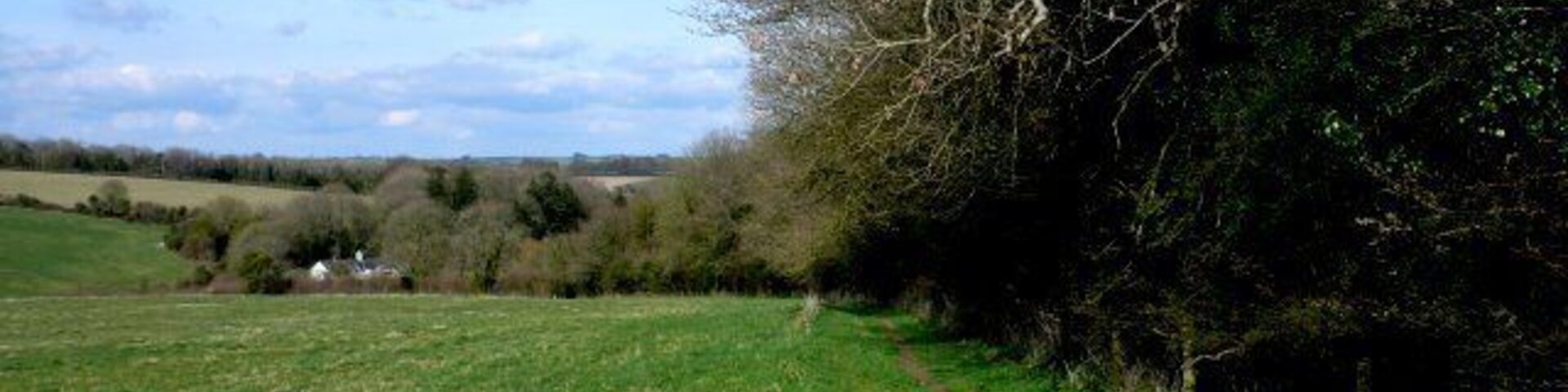Barrow Plantation This is the view north east down the bridle path that runs along the north west side of barrow Plantation. in the trees in the distance can be seen Steppes Farm.