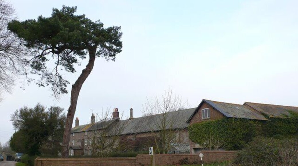 Druce Farm Druce is a large farm which lies in the valley of the River Piddle about 1km NW of Puddletown