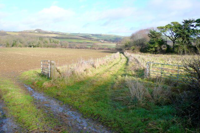 Fields near Berwick Farm These fields are between the farm and the River Bride which is where the trees in the distance are. It is about 1.5km NW of Puncknowle.