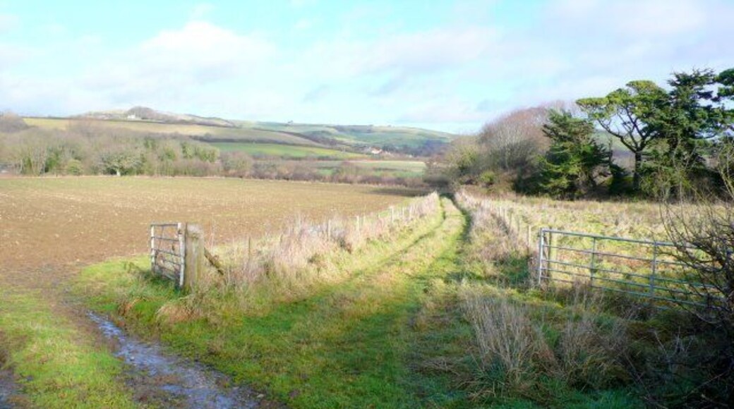 Fields near Berwick Farm These fields are between the farm and the River Bride which is where the trees in the distance are. It is about 1.5km NW of Puncknowle.
