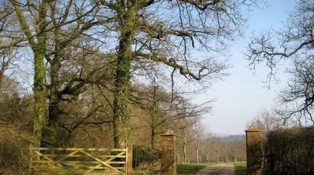 Gateway and drive to Lewcombe At the end of the tree-lined drive is the manor of Lewcombe with its tiny church, the parish church of East Chelborough.