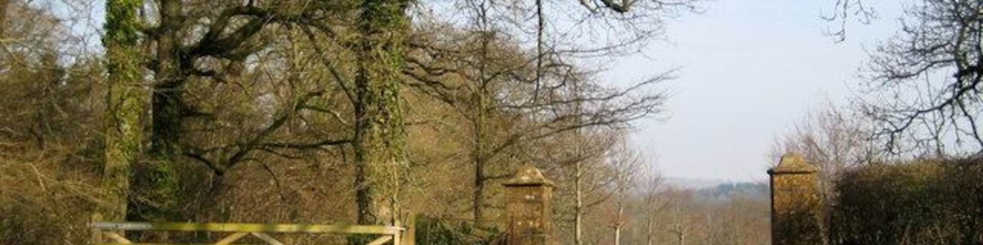 Gateway and drive to Lewcombe At the end of the tree-lined drive is the manor of Lewcombe with its tiny church, the parish church of East Chelborough.