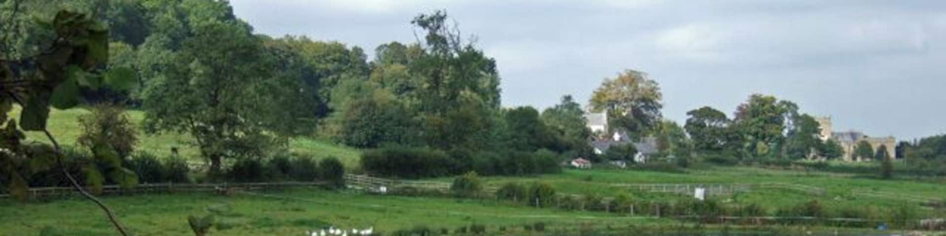 Buckland Newton This idyllic scene with the duck ponds (or should that be goose ponds?) and parish church in the background, belies the fact that I'm sure I saw a sign in the village that stated 'Orders now being taken for Christmas Geese'...