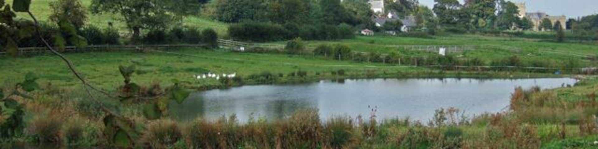 Buckland Newton This idyllic scene with the duck ponds (or should that be goose ponds?) and parish church in the background, belies the fact that I'm sure I saw a sign in the village that stated 'Orders now being taken for Christmas Geese'...