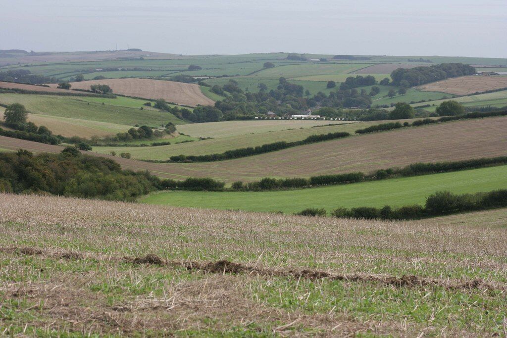 Dorset downland landscape near Winterbourne Abbas Looking towards the village of Winterbourne Abbas nestling in the trees at the bottom of the valley.