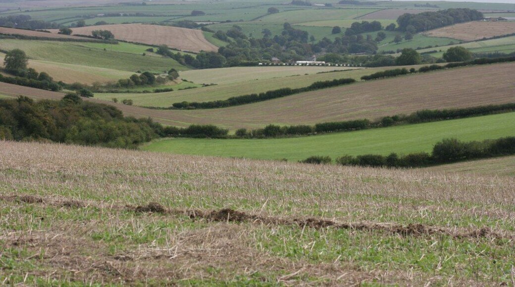 Dorset downland landscape near Winterbourne Abbas Looking towards the village of Winterbourne Abbas nestling in the trees at the bottom of the valley.