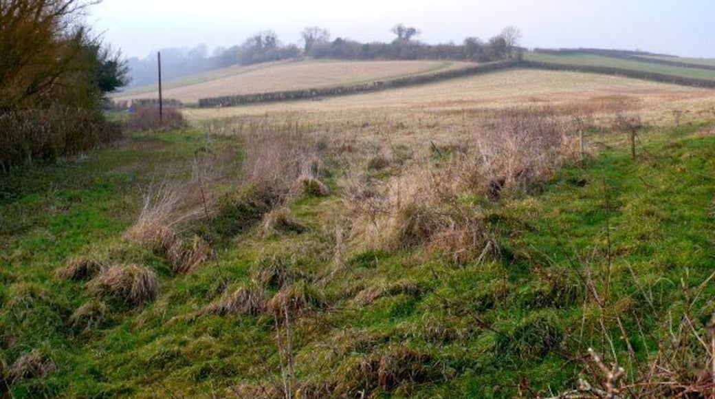 Countryside near Alton pancras View NW across the square just north of the village on the road to Henley.