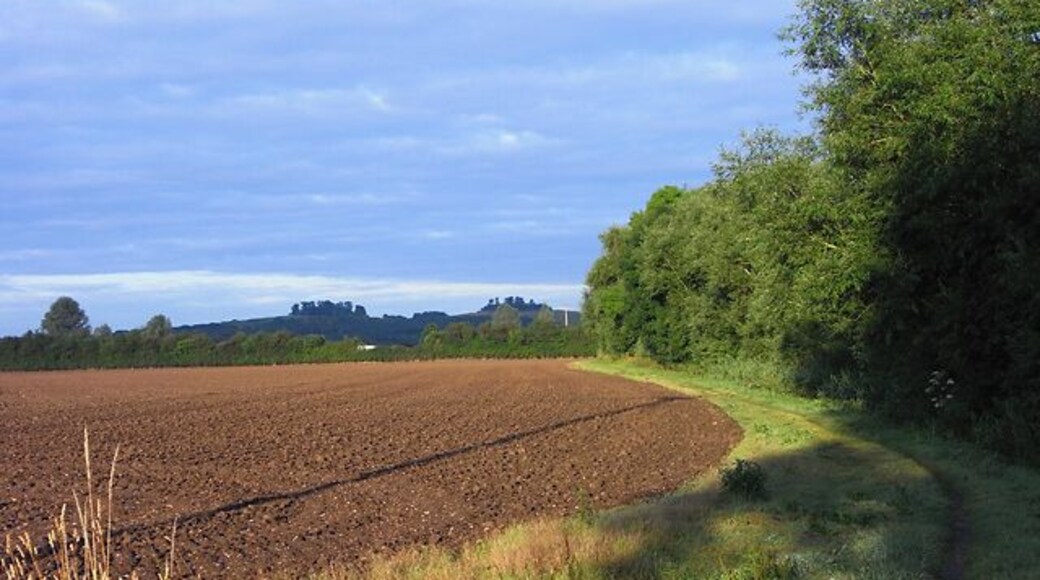 Farmland, Dorchester A ploughed field and bridleway beside the River Thame. The Wittenham Clumps are in the background.