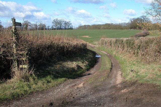 Footpath to Knight's Grove. Short track providing access to a field