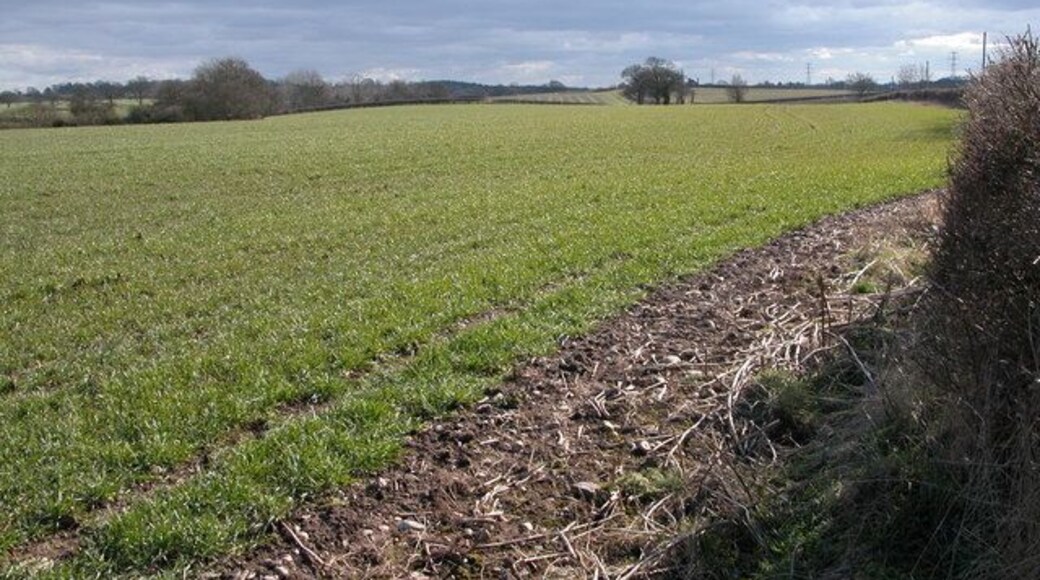 Farmland beside the lane to Southall Farm. Southall Farm is situated at the southern end of a no through road, south of Doverdale.
