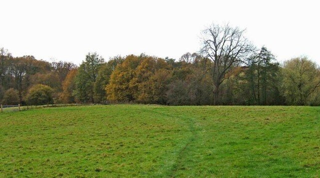 View near the Wychavon Way Although there are the signs of a path going straight ahead, you need to keep to the right of this to stay on the Wychavon Way. The fish pond shown on the map as being somewhere around here, is nowhere to be seen. Presumably what remains of it is behind the trees.