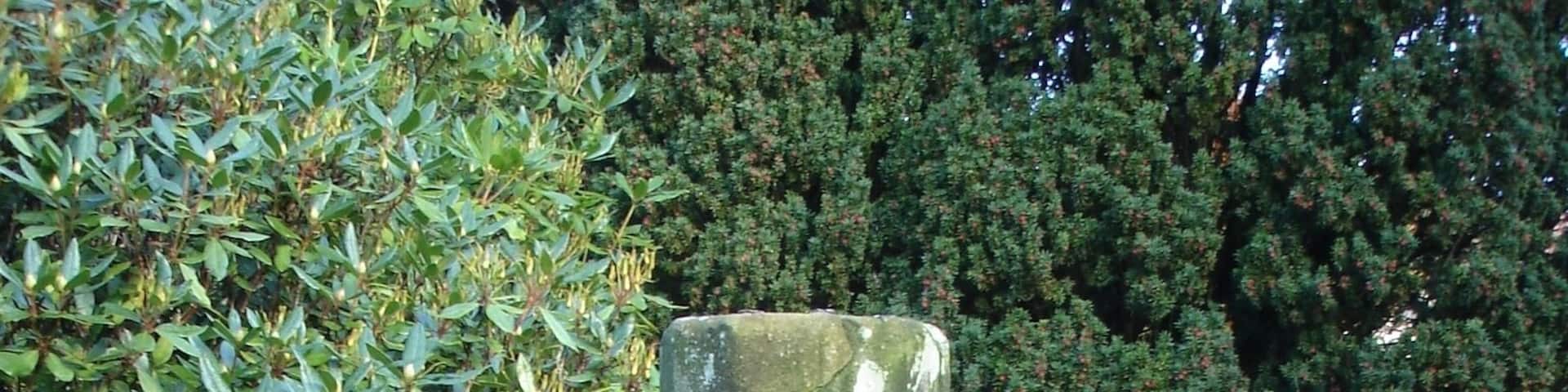 Medieval cross, St Mary's churchyard, Nether Alderley