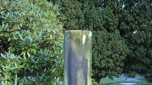 Medieval cross, St Mary's churchyard, Nether Alderley