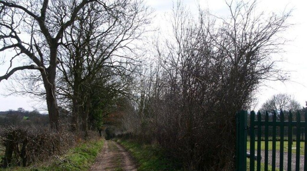 Green lane and water tank behind the railings. This lane leads down to fishponds at the back of Ombersley Hall and an anomous square on the OSmap turns out to be Ombersley's water supply.