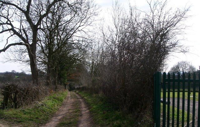 A narrow dirt path flanked by leafless trees and a green metal gate.