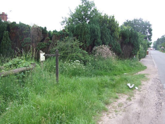 Looking along Stone Road at Start of Footpath to Scarning Fen