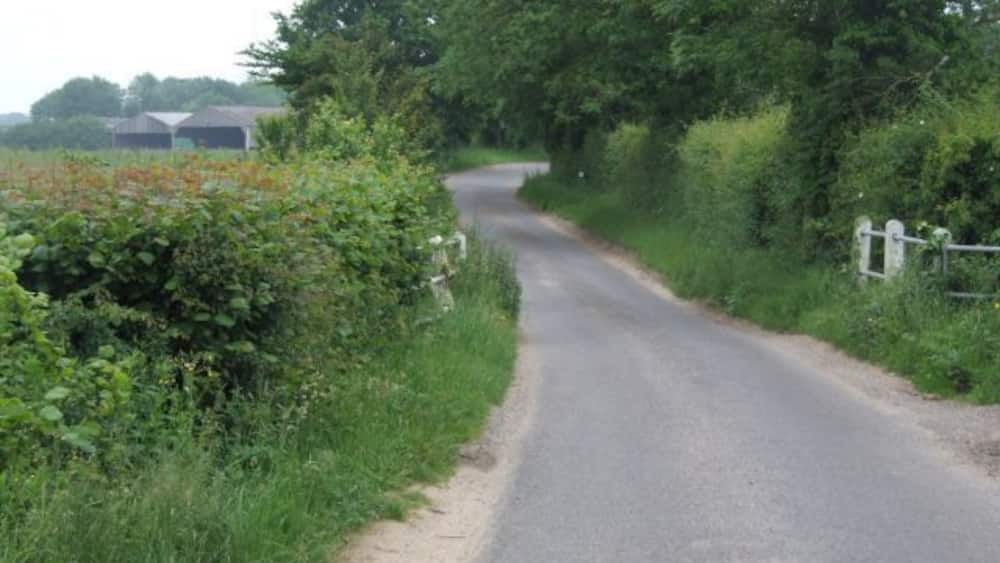 Une étroite route de campagne bordée d’une végétation luxuriante et surmontée d’un portail blanc.
