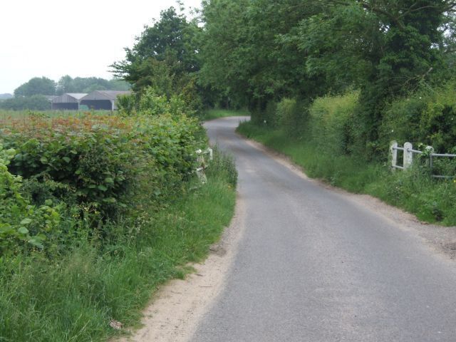 A narrow rural road flanked by dense greenery and a white gate.