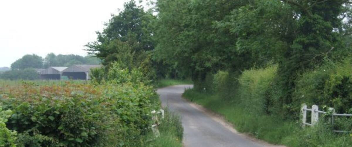 A narrow rural road flanked by dense greenery and a white gate.