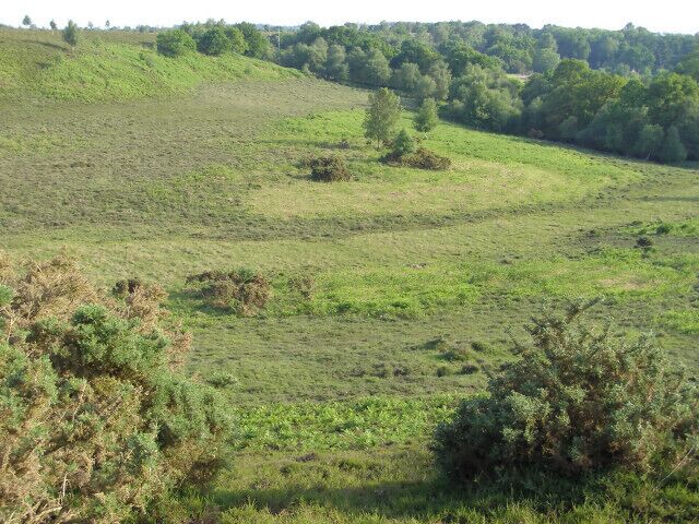 Chibden Bottom, Ibsley Common, New Forest. Looking down into the open end of Chibden Bottom on Ibsley Common. There are many different zones of vegetation, indicating the changes in underlying soil structure and drainage. The bright green areas are young bracken, the light green swathe in the valley bottom is a valley mire.