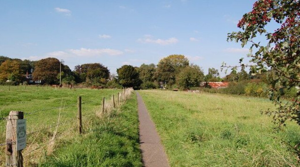 School Lane, Damerham, Hampshire Narrow metalled path all the way to school.