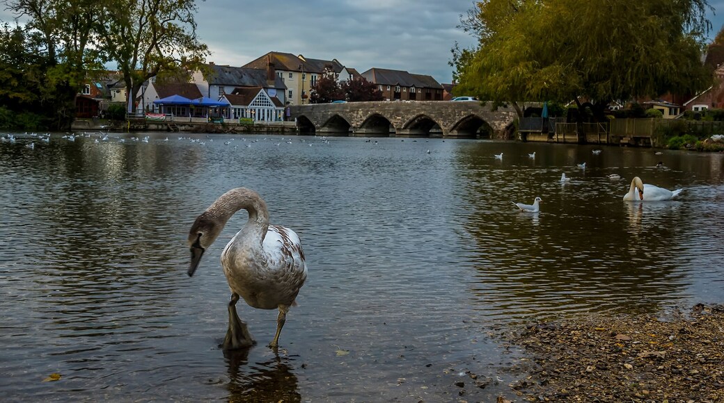 Fordingbridge