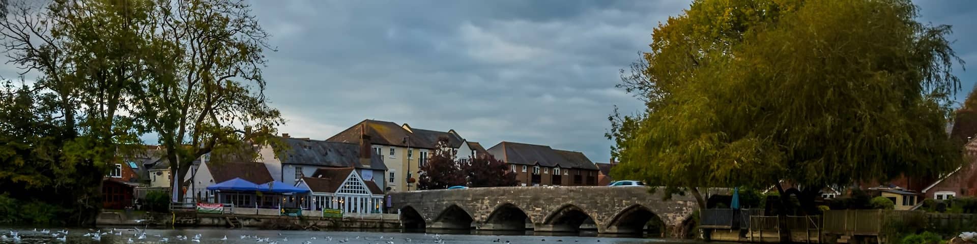 A swan wades in the River Avon close to the ancient bridge at Fordingbridge, UK at dusk in Autumn