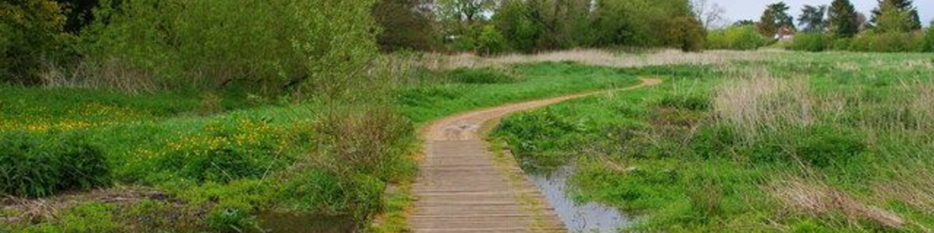 A wooden boardwalk along a water channel, surrounded by greenery and trees.