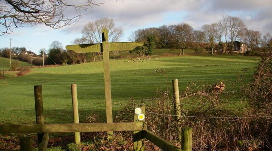 Junction of footpaths by Arniss Farm A T-junction of two footpaths between Arniss Farm and Newgrounds. A herd of over 20 fallow bucks frequents this area and can be seen sitting at the far side of the field to the right of the footpath sign.