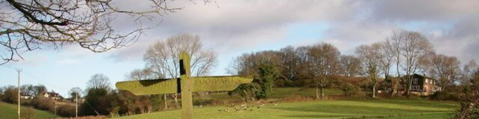 Junction of footpaths by Arniss Farm A T-junction of two footpaths between Arniss Farm and Newgrounds. A herd of over 20 fallow bucks frequents this area and can be seen sitting at the far side of the field to the right of the footpath sign.