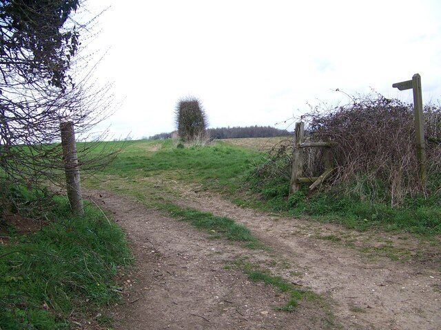 Footpath to Whitsbury The footpath takes walkers to The Cartwheel Inn, Whitsbury via fields.
