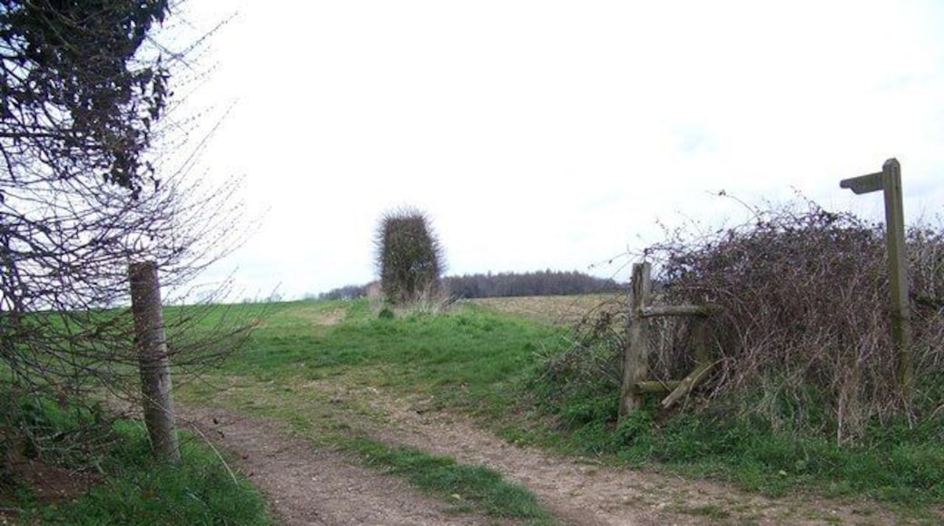 Footpath to Whitsbury The footpath takes walkers to The Cartwheel Inn, Whitsbury via fields.