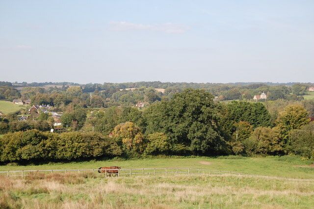 Fields and trees, Damerham, Hampshire The field in the foreground is rough grazing with a horse paddock beyond. St George's Church is on the right, in the distance.