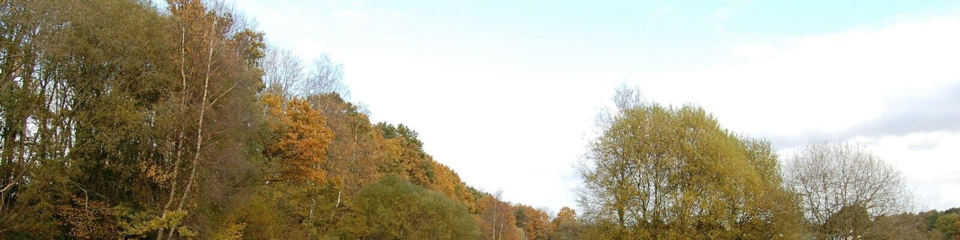 Pasture, Alderholt, Dorset The ground here is very wet with rushes doing well. Poor grazing I assume.The treeline on the left marks the embankment of the disused railway.