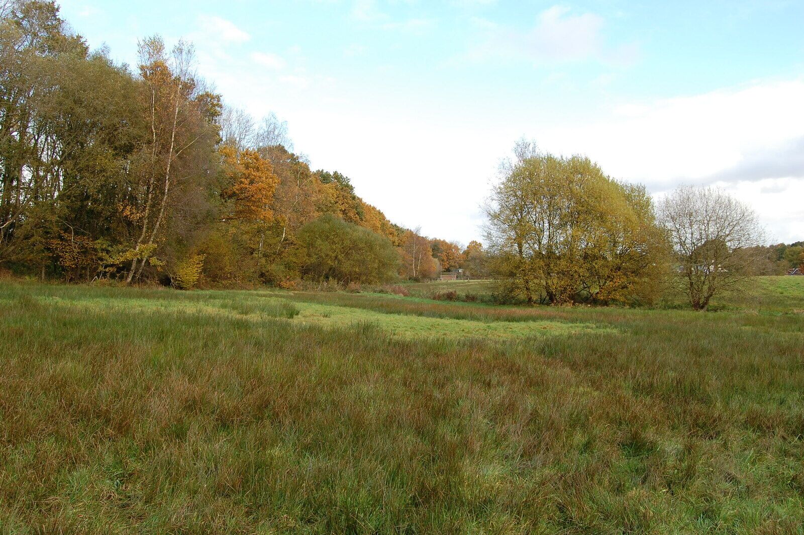 A grassy field with trees in autumn colors and a distant building.