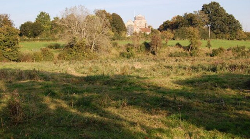 Water meadows, Damerham, Hampshire In the distance, St. George's Church.