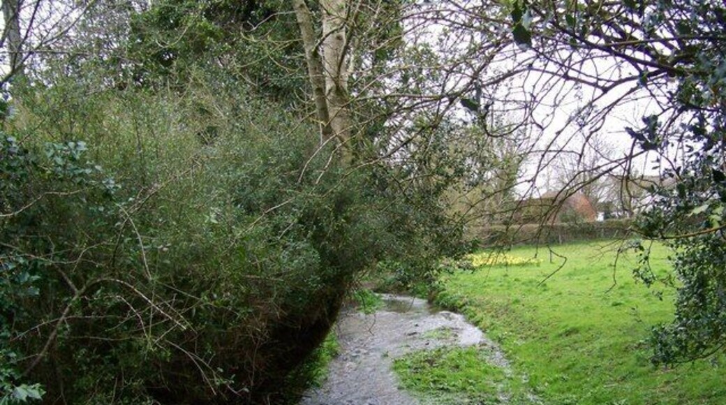 Stream, Rockbourne The stream that runs through the village is a winter bourne.
