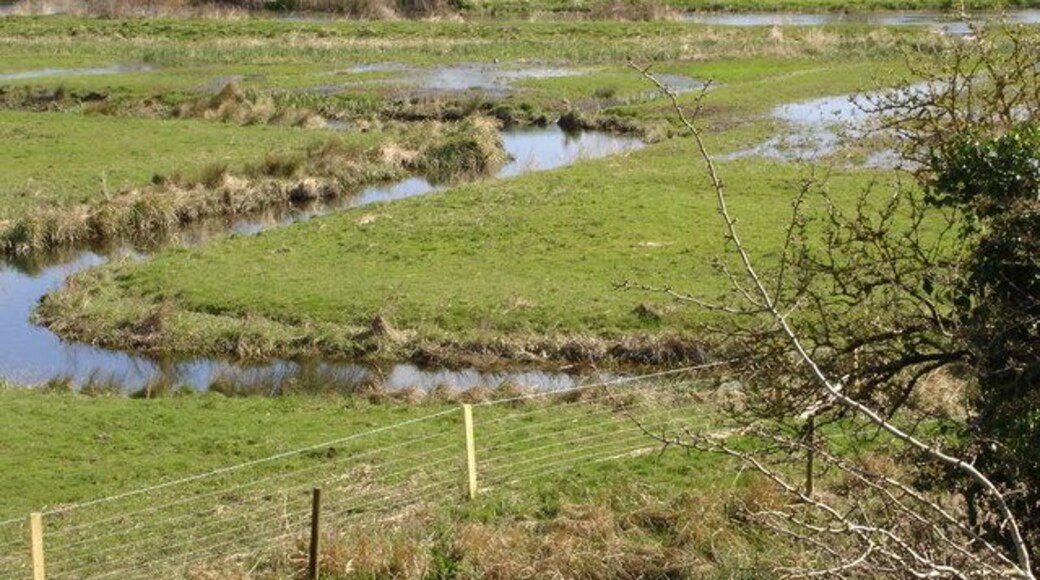 Water meadows behind Breamore Mill, river Avon The line of the river can be seen in the background.