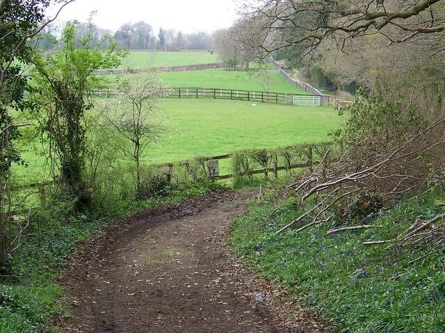 Bridleway, Whitsbury The bridleway continues with woodland on the right and the paddocks of Whitsbury Manor Stud on the left.