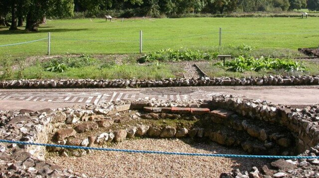 Rockbourne, mosaic Foundations of the East Bath Suite with mosaic, Rockbourne Roman Villa, C3-4. http://www3.hants.gov.uk/museum/rockbourne-roman-villa/excavations.htm