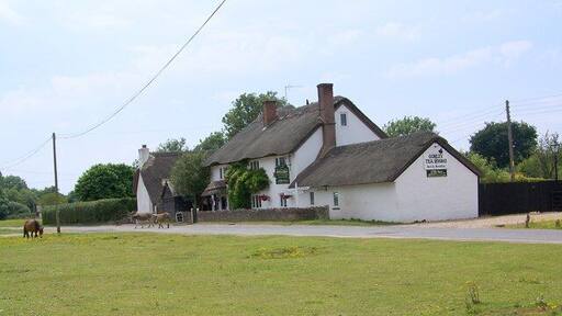 Thatched Cottage, North Gorley The cottage is a tea room.