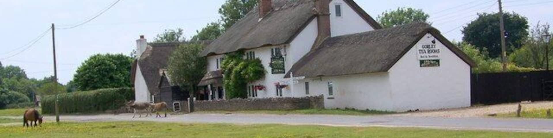 Thatched Cottage, North Gorley The cottage is a tea room.