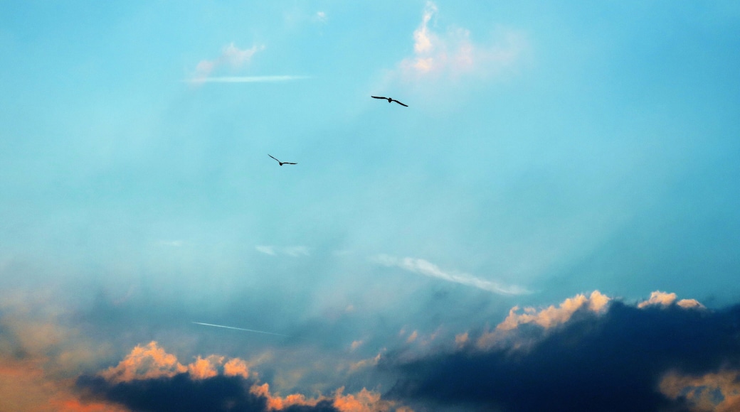 Darland Banks, Gillingham, United Kingdom