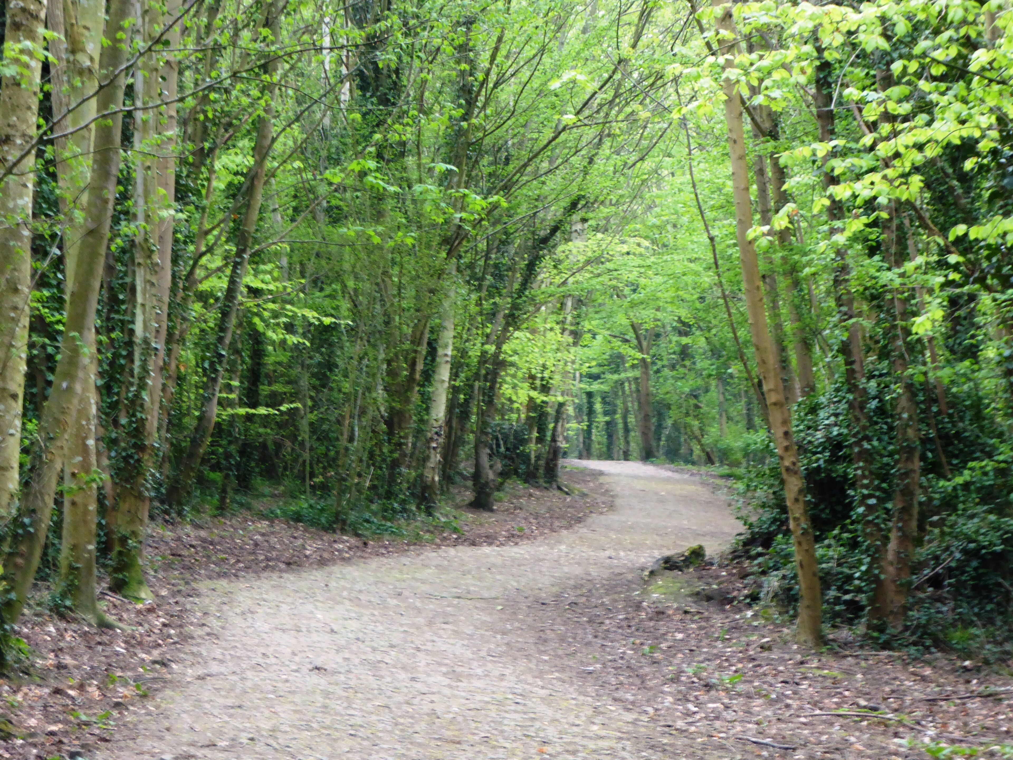 Foxburrow Wood is a Local Nature Reserve in Gillingham in Kent.