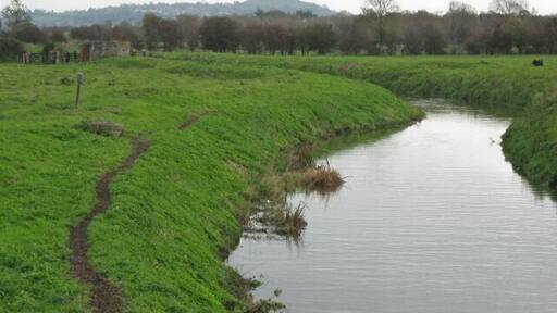 The River Brue at Westhay