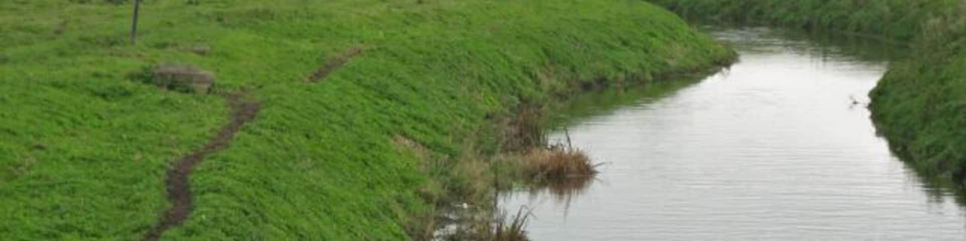 The River Brue at Westhay