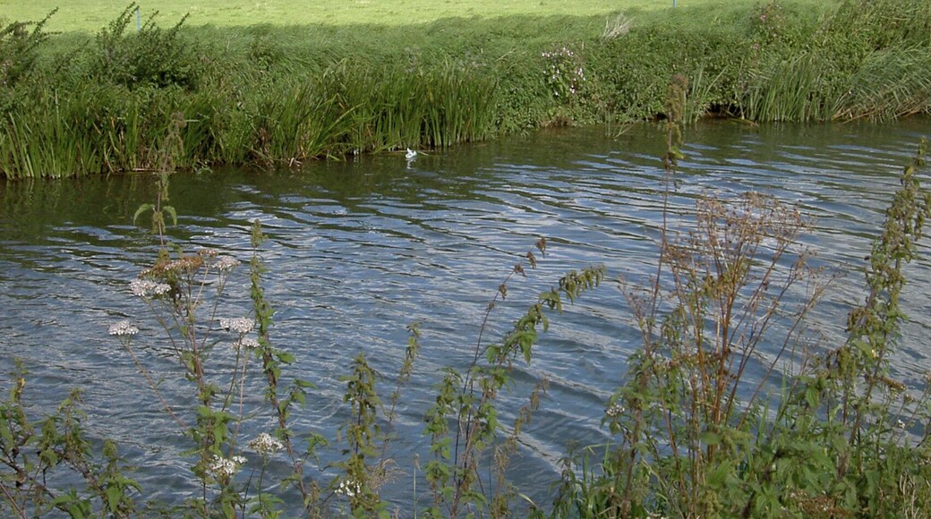 The Brue and the Tor