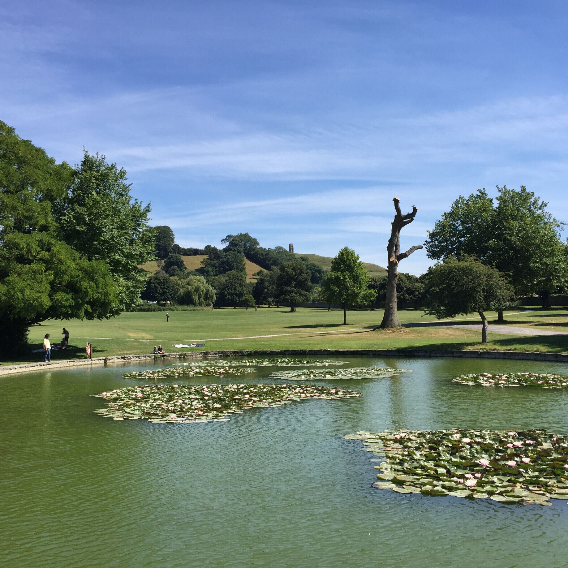 Glastonbury Abbey