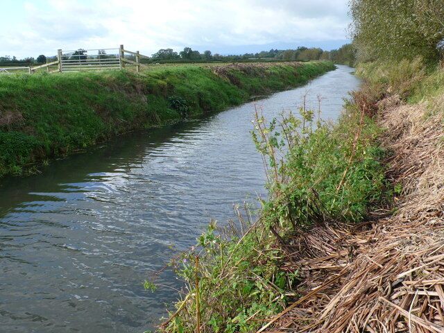 River Brue at Tootle Bridge Farm